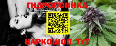 молекула духа Чапаевск