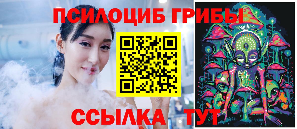 Галлюциногенные грибы Psilocybe  Псилоцибиновые грибы Psilocybine cubensis  Чита  Вход с VPN 